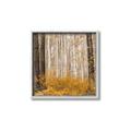 Picture of Mustard Forest _GroupedProduct_Square_Photography _GroupedProduct_Square_Canvas_Framed_