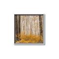 Picture of Mustard Forest _GroupedProduct_Square_Photography _GroupedProduct_Square_Canvas_Framed_
