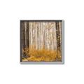 Picture of Mustard Forest _GroupedProduct_Square_Photography _GroupedProduct_Square_Canvas_Framed_