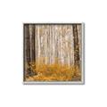 Picture of Mustard Forest _GroupedProduct_Square_Photography _GroupedProduct_Square_Canvas_Framed_
