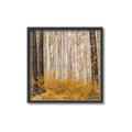 Picture of Mustard Forest _GroupedProduct_Square_Photography _GroupedProduct_Square_Canvas_Framed_