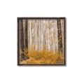 Picture of Mustard Forest _GroupedProduct_Square_Photography _GroupedProduct_Square_Canvas_Framed_