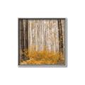 Picture of Mustard Forest _GroupedProduct_Square_Photography _GroupedProduct_Square_Canvas_Framed_