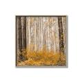 Picture of Mustard Forest _GroupedProduct_Square_Photography _GroupedProduct_Square_Canvas_Framed_
