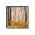 Picture of Mustard Forest _GroupedProduct_Square_Photography _GroupedProduct_Square_Canvas_Framed_