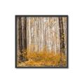 Picture of Mustard Forest _GroupedProduct_Square_Photography _GroupedProduct_Square_Canvas_Framed_