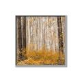 Picture of Mustard Forest _GroupedProduct_Square_Photography _GroupedProduct_Square_Canvas_Framed_