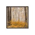 Picture of Mustard Forest _GroupedProduct_Square_Photography _GroupedProduct_Square_Canvas_Framed_