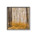 Picture of Mustard Forest _GroupedProduct_Square_Photography _GroupedProduct_Square_Canvas_Framed_