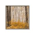 Picture of Mustard Forest _GroupedProduct_Square_Photography _GroupedProduct_Square_Canvas_Framed_