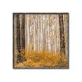 Picture of Mustard Forest _GroupedProduct_Square_Photography _GroupedProduct_Square_Canvas_Framed_