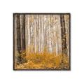Picture of Mustard Forest _GroupedProduct_Square_Photography _GroupedProduct_Square_Canvas_Framed_