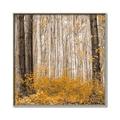 Picture of Mustard Forest _GroupedProduct_Square_Photography _GroupedProduct_Square_Canvas_Framed_