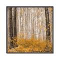 Picture of Mustard Forest _GroupedProduct_Square_Photography _GroupedProduct_Square_Canvas_Framed_