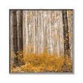 Picture of Mustard Forest _GroupedProduct_Square_Photography _GroupedProduct_Square_Canvas_Framed_