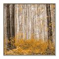 Picture of Mustard Forest _GroupedProduct_Square_Photography _GroupedProduct_Square_Canvas_Framed_