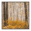 Picture of Mustard Forest _GroupedProduct_Square_Photography _GroupedProduct_Square_Canvas_Framed_