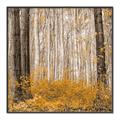 Picture of Mustard Forest _GroupedProduct_Square_Photography _GroupedProduct_Square_Canvas_Framed_