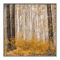 Picture of Mustard Forest _GroupedProduct_Square_Photography _GroupedProduct_Square_Canvas_Framed_