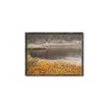 Picture of Mustard Grass Lake _GroupedProduct_Rectangle_Landscape_Photography _GroupedProduct_Rectangle_Landscape_Canvas_Framed_