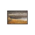 Picture of Mustard Grass Lake _GroupedProduct_Rectangle_Landscape_Photography _GroupedProduct_Rectangle_Landscape_Canvas_Framed_