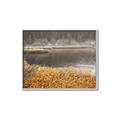 Picture of Mustard Grass Lake _GroupedProduct_Rectangle_Landscape_Photography _GroupedProduct_Rectangle_Landscape_Canvas_Framed_