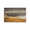 Picture of Mustard Grass Lake _GroupedProduct_Rectangle_Landscape_Photography _GroupedProduct_Rectangle_Landscape_Canvas_Framed_