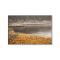 Picture of Mustard Grass Lake _GroupedProduct_Rectangle_Landscape_Photography _GroupedProduct_Rectangle_Landscape_Canvas_Framed_