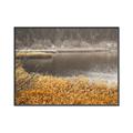 Picture of Mustard Grass Lake _GroupedProduct_Rectangle_Landscape_Photography _GroupedProduct_Rectangle_Landscape_Canvas_Framed_