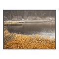 Picture of Mustard Grass Lake _GroupedProduct_Rectangle_Landscape_Photography _GroupedProduct_Rectangle_Landscape_Canvas_Framed_