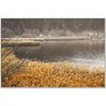 Picture of Mustard Grass Lake _GroupedProduct_Rectangle_Landscape_Photography _GroupedProduct_Rectangle_Landscape_Canvas_Framed_