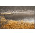Picture of Mustard Grass Lake _GroupedProduct_Rectangle_Landscape_Photography _GroupedProduct_Rectangle_Landscape_Canvas_Framed_