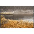 Picture of Mustard Grass Lake _GroupedProduct_Rectangle_Landscape_Photography _GroupedProduct_Rectangle_Landscape_Canvas_Framed_