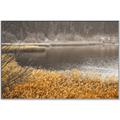 Picture of Mustard Grass Lake _GroupedProduct_Rectangle_Landscape_Photography _GroupedProduct_Rectangle_Landscape_Canvas_Framed_