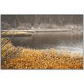 Picture of Mustard Grass Lake _GroupedProduct_Rectangle_Landscape_Photography _GroupedProduct_Rectangle_Landscape_Canvas_Framed_