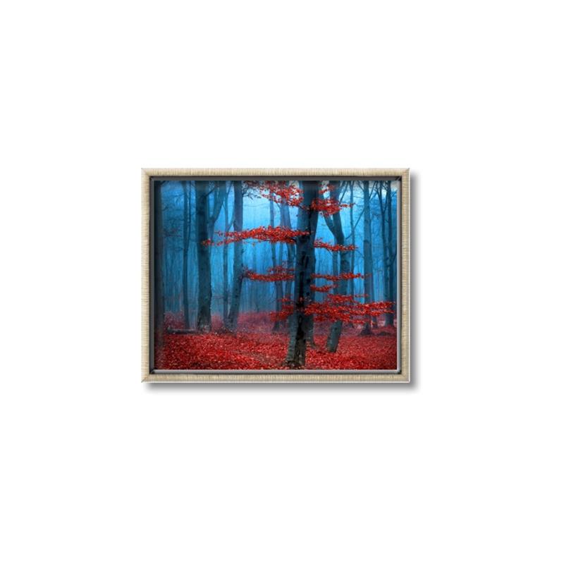 Picture of Mysterious Woods  _GroupedProduct_Rectangle_Landscape_Photography _GroupedProduct_Rectangle_Landscape_Canvas_Framed_