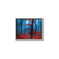 Picture of Mysterious Woods  _GroupedProduct_Rectangle_Landscape_Photography _GroupedProduct_Rectangle_Landscape_Canvas_Framed_