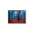 Picture of Mysterious Woods  _GroupedProduct_Rectangle_Landscape_Photography _GroupedProduct_Rectangle_Landscape_Canvas_Framed_