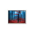 Picture of Mysterious Woods  _GroupedProduct_Rectangle_Landscape_Photography _GroupedProduct_Rectangle_Landscape_Canvas_Framed_