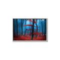 Picture of Mysterious Woods  _GroupedProduct_Rectangle_Landscape_Photography _GroupedProduct_Rectangle_Landscape_Canvas_Framed_