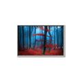 Picture of Mysterious Woods  _GroupedProduct_Rectangle_Landscape_Photography _GroupedProduct_Rectangle_Landscape_Canvas_Framed_