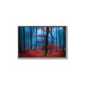 Picture of Mysterious Woods  _GroupedProduct_Rectangle_Landscape_Photography _GroupedProduct_Rectangle_Landscape_Canvas_Framed_
