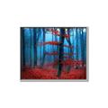 Picture of Mysterious Woods  _GroupedProduct_Rectangle_Landscape_Photography _GroupedProduct_Rectangle_Landscape_Canvas_Framed_