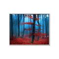 Picture of Mysterious Woods  _GroupedProduct_Rectangle_Landscape_Photography _GroupedProduct_Rectangle_Landscape_Canvas_Framed_