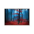 Picture of Mysterious Woods  _GroupedProduct_Rectangle_Landscape_Photography _GroupedProduct_Rectangle_Landscape_Canvas_Framed_