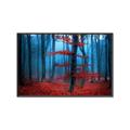 Picture of Mysterious Woods  _GroupedProduct_Rectangle_Landscape_Photography _GroupedProduct_Rectangle_Landscape_Canvas_Framed_