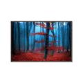 Picture of Mysterious Woods  _GroupedProduct_Rectangle_Landscape_Photography _GroupedProduct_Rectangle_Landscape_Canvas_Framed_