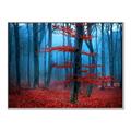 Picture of Mysterious Woods  _GroupedProduct_Rectangle_Landscape_Photography _GroupedProduct_Rectangle_Landscape_Canvas_Framed_