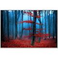 Picture of Mysterious Woods  _GroupedProduct_Rectangle_Landscape_Photography _GroupedProduct_Rectangle_Landscape_Canvas_Framed_
