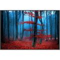 Picture of Mysterious Woods  _GroupedProduct_Rectangle_Landscape_Photography _GroupedProduct_Rectangle_Landscape_Canvas_Framed_